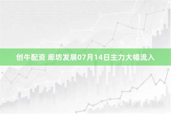 创牛配资 廊坊发展07月14日主力大幅流入